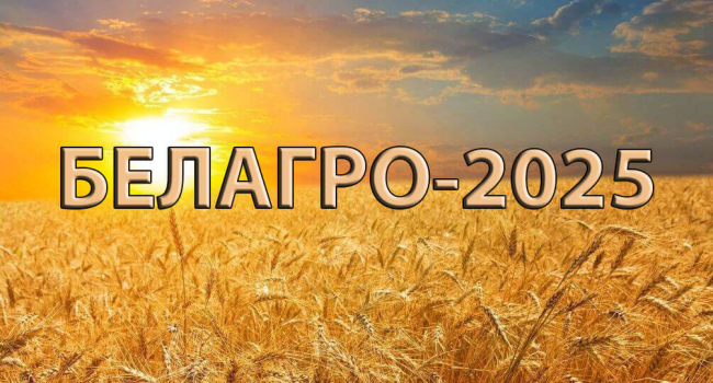 Участие в выставке Белагро 2025